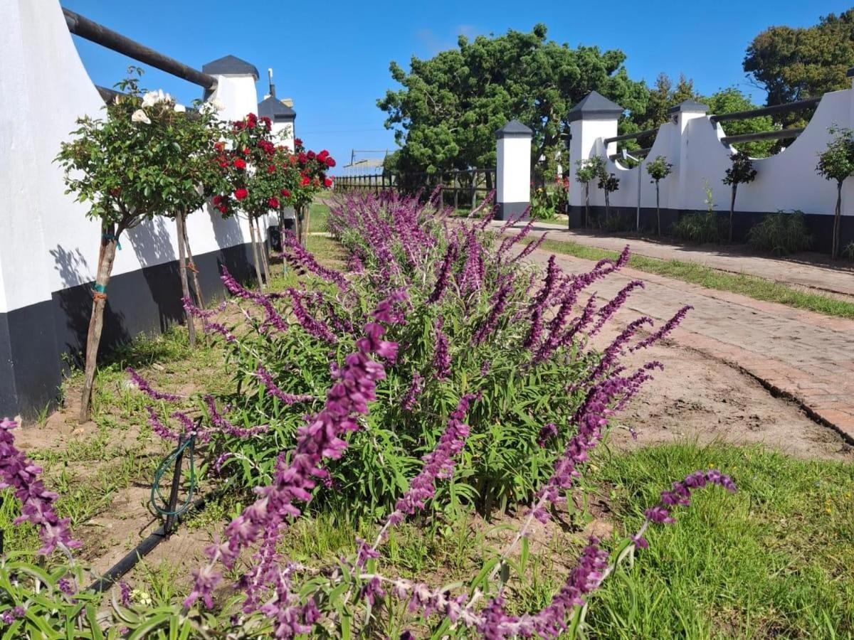 Apartamento Dunkes Organic Equestrian Estate George Exterior foto